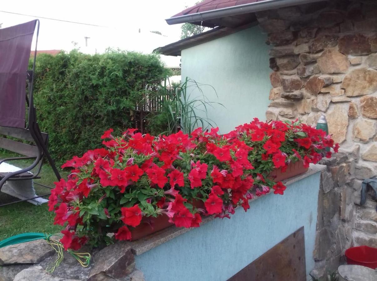 Apartmany Na Hline Trebon Luaran gambar